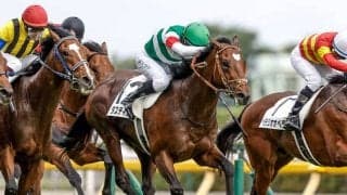 【有馬記念・調教後馬体重】スターズオンアースは496kg、タスティエーラは488kg