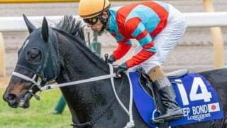 獲得賞金6.8億円超えのディープボンド 21年2着の舞台で悲願の有馬記念Vへ