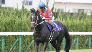 有馬記念は「馬の力ではなく、枠順で買うレース」と穴党記者 「ヒモ穴」ならこの２頭