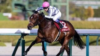 武豊騎手 今週の騎乗馬…日曜中山はドウデュースのみ