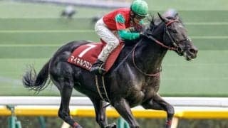 【中山大障害枠順確定】マイネルグロンは3枠3番、ニシノデイジーは7枠9番