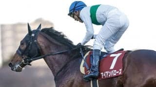 究極のスタミナ自慢が有馬記念参戦 人馬で掴んだタイトル胸に宿敵へ最後のリベンジだ