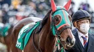 有馬記念16頭の“香港馬名”を紹介『北島名花』や『鍵琴高奏』はどの馬？