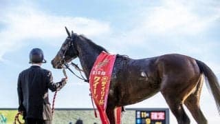 牝馬三冠を盛り上げた名脇役 有馬記念を制し世代ナンバーツーの証明へ
