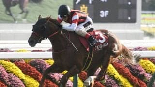 Bコース替わりの阪神競馬場 内回りの阪神Cはウイングレイテストの連勝に期待