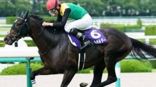 “仁川の帝王”ラストランへ 有馬記念Vで有終の美を