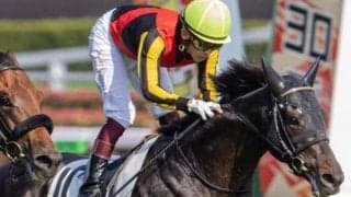 有馬記念にディープ産駒の豪華3頭 サトノダイヤモンド以来7年ぶりの制覇なるか