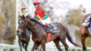 ステイゴールド産駒が18年連続JRA重賞Vへ マイネル軍団のベテラン2騎が中山大障害に出走