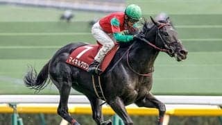 【今日の注目ポイント】中山でJGI・中山大障害、阪神では阪神C