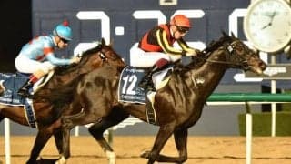 後輩ダービー馬を破るか 新コンビとともに有馬記念で王座奪還期す