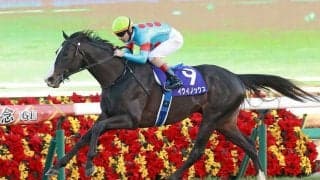 【有馬記念】山本由伸の12年460億円を“2分30秒”で稼ぐ？　ビッグマネーが動く暮れのグランプリ