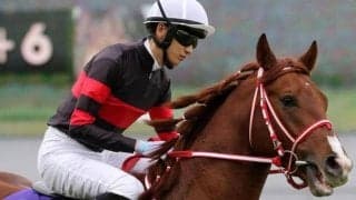 阪神芝1400mはリピーターを狙え！ 舞台巧者が阪神Cで波乱呼ぶ