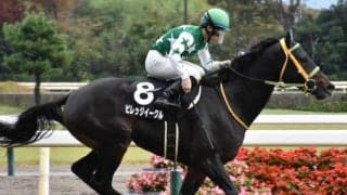 中山大障害に出走するビレッジイーグル 史上初がかかる“珍記録”とは？