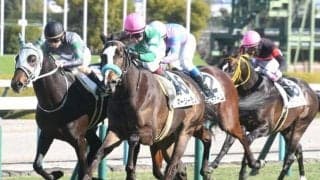 【阪神6R新馬戦結果】レッドファルクス産駒マーシーランが抜け出しV