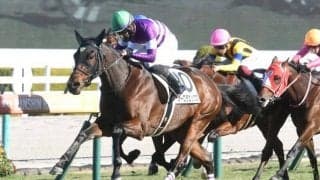 【阪神5R新馬戦結果】サトノダイヤモンド産駒オーロラエックスが差し切りV