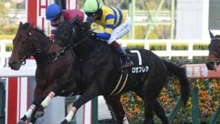 【万両賞結果】ロゼフレアが競り合いを制し2連勝