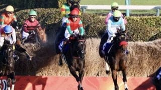 【中山大障害】マイネルグロンが4連勝でG1戴冠
