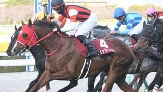 【阪神C結果】ウインマーベルが追い比べを制し重賞2勝目！