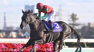 【中山大障害結果】マイネルグロンが10馬身差V！ 4連勝でJ・GI制覇！