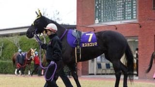 【佐賀競馬】ファン投票1位のミスカゴシマら 有馬記念後も選ばれし12頭によるビッグレースが開催