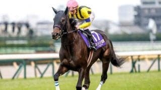 【有馬記念予想】外枠不利＝内枠有利ではない!? 枠順が重要となる年末の大一番