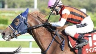 有馬記念で強い枠番は？中山芝2500マイスターは？ “暮れの大一番”にまつわる過去のデータ分析