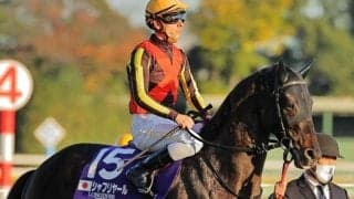 有馬記念デーの中山芝は例年よりもイン有利 好位からシャフリヤールから抜け出す