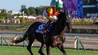 【AI予想・有馬記念】鬼門の8枠に有力馬2頭が入り激戦必至のグランプリ！ 本命は飛躍の一年を過ごした実力馬