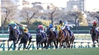 今年の有馬記念は16頭中11頭が乗り替わり 過去の“乗り替わり馬”の成績は？