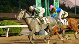 石川倭騎手が地方通算1000勝を達成…「応援ありがとうございます」