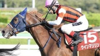 有馬記念の穴馬は“中山マイスター” マツリダゴッホ＆アメリカンボスに続く今年の該当馬は？