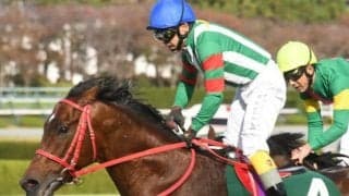 JRA最後のマーベラスサンデー産駒ケンホファヴァルトが抹消 今後は盛岡競馬に移籍予定