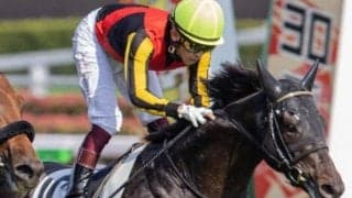 絶好2番枠のシャフリヤール 有馬記念に急転参戦で人気落ちなら妙味あり