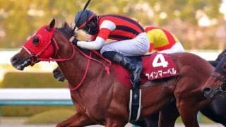 【阪神C】ウインマーベルが混戦を断つ…ママコチャは敗れる