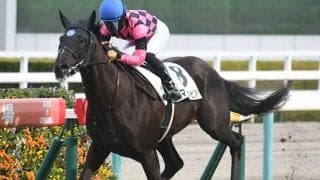 【阪神6R新馬戦結果】スマートスピアが最内から抜け出してV