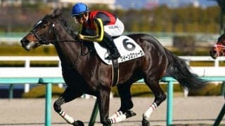 【阪神4R】良血クイーンズウォークが初勝利…半兄はグレナディアガーズ