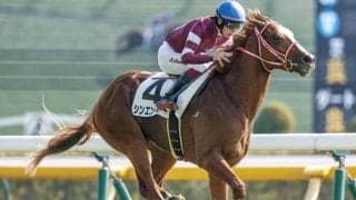 2歳中距離王決定戦・ホープフルS、暮れのダート王決定戦・東京大賞典/今週の競馬界の見どころ