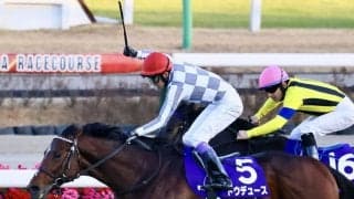 【有馬記念】ルメール「右へモタれた」レース後ジョッキーコメント
