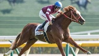 【ホープフルS見どころ】凱旋門賞馬ソットサスの全弟・シンエンペラーが戴冠を狙う