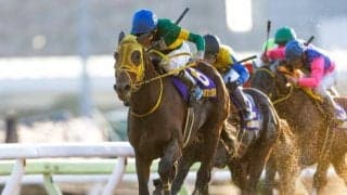 東京大賞典は10年ぶりの9頭立て ウシュバテソーロは5枠5番、ミックファイアは8枠8番