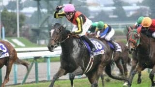 【先週のJRA抹消馬】女王ジェラルディーナ、ホープフルS覇者ダノンザキッドなど