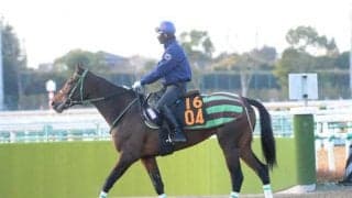 ダノンホイットニーに大竹師も太鼓判 「軽い走りをするし、いいところがありそう」/関東馬メイクデビュー情報