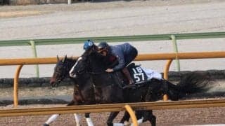 安田隆行厩舎のロードカナロア産駒が初陣/関西馬メイクデビュー情報