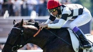 武豊騎手はJRA平地GI完全Vにリーチ “大記録” 視界に入るジョッキーたちとは？