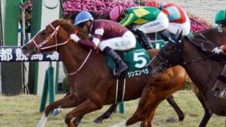 凱旋門賞馬の全弟がGI獲りへ “母の父ガリレオ”の初快挙なるか