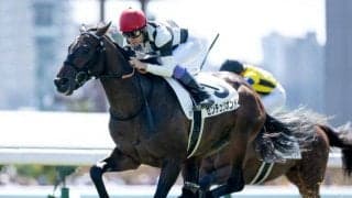  【ホープフルS展望】好走条件そろったセンチュリボンドの戴冠を期待