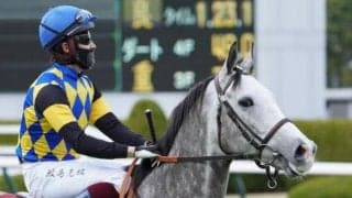 “おばけくん”が現役復帰 初のダートで復活Vなるか