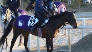 ヤマニンウルスなど、先週の入厩情報/栗東トレセンニュース