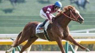 【ホープフルS枠順確定】シンエンペラーは3枠6番、ゴンバデカーブースは1枠1番