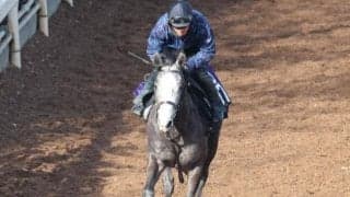 ヤマニンパピオネの2021(ヤマニンアルリフラ)など、先週のゲート試験/栗東トレセンニュース